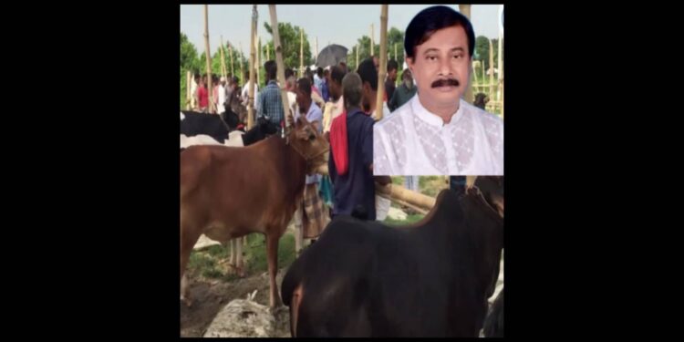 “আমি হ্যালো সরকার, আমি কি করতে পারি জানিস ?”