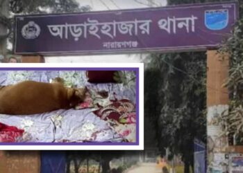 চিরকুট : ‘আমাদের দুই বোনের সাথে টাইগারকেও (কুকুর) কবর দিও’