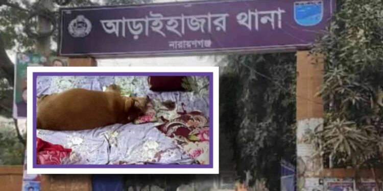 চিরকুট : ‘আমাদের দুই বোনের সাথে টাইগারকেও (কুকুর) কবর দিও’