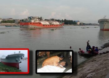 ‘লাশের গন্ধ ভারী শীতলক্ষ্যার বাতাস ! আর কত ?’