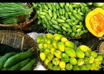 খাদ্যে ক্ষতিকর ধাতব কিভাবে ঢোকে, শরীরের কী ক্ষতি করে