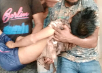 আড়াইহাজারে লেগুনা উল্টে নিহত ১