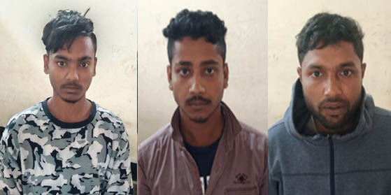 আড়াইহাজারে ১২ দিনে পৃথক অভিযানে ৩ মণ গাঁজা উদ্ধার