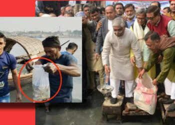 ‘পোনা মাছ মরিয়া প্রমাণ করিলো শীতলক্ষার পানি বিষাক্ত !’