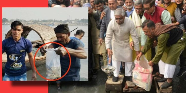 ‘পোনা মাছ মরিয়া প্রমাণ করিলো শীতলক্ষার পানি বিষাক্ত !’