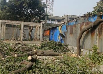 রেলের গাছ কাটলো কর্মচারী ট্রাস্ট, রেল পুলিশ নিশ্চুপ !
