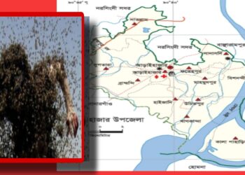 আড়াইহাজারে মৌমাছির আক্রমণে নিহত ১, আহত ৫