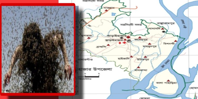 আড়াইহাজারে মৌমাছির আক্রমণে নিহত ১, আহত ৫