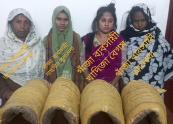 আড়াইহাজারে ৮ নারীসহ গ্রেপ্তার ১০,  এক মণ গাঁজা উদ্ধার