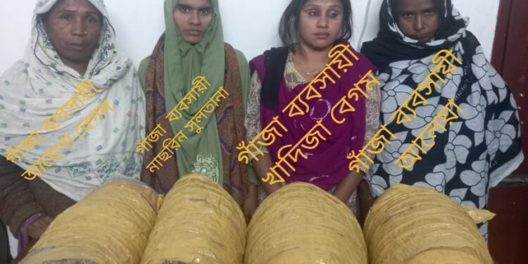 আড়াইহাজারে ৮ নারীসহ গ্রেপ্তার ১০,  এক মণ গাঁজা উদ্ধার