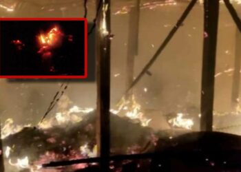 হুমকি ধমকির পর আইনজীবীকে শ্লীলতাহানি