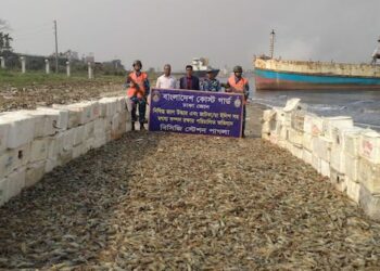 ১৫ হাজার কেজি বিষাক্ত জেলিযুক্ত চিংড়ি জব্দ