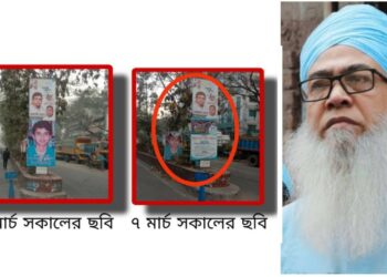 ত্বকীর ছবিতেও গাত্রদাহের তালিকায় মাওঃ আউয়াল !