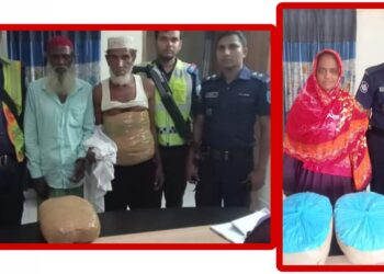 আড়াইহাজারে গাজাসহ গ্রেফতার ৩