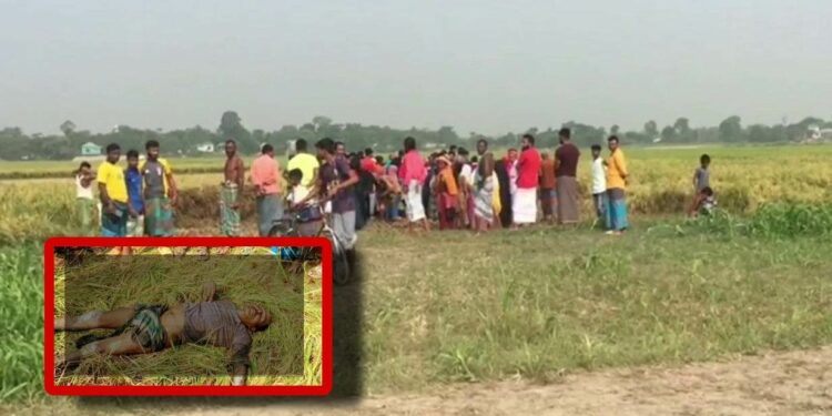 “আমির ডাকাতকে যারা খুন করেছে তারা কত বড় ডাকাত ?”