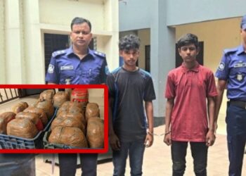 পিকআপে ৪০ কেজি গাঁজাসহ দুইজন গ্রেপ্তার