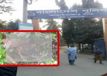 আড়াইহাজারে হাত-পা বাঁধা অটোচালকের লাশ উদ্ধার