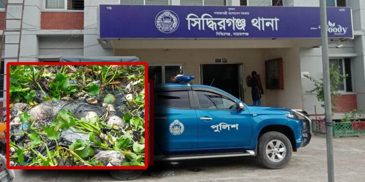 নিখোঁজের সালামের অর্ধ গলিত লাশ উদ্ধার