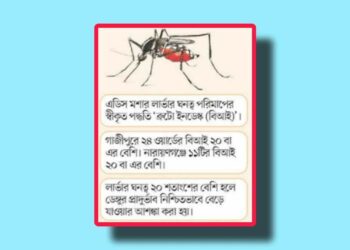 এডিসের লার্ভার ঘনত্ব ঢাকার চেয়েও বেশি নারায়ণগঞ্জ ও গাজিপুরে