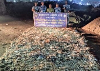 কোস্টগার্ডের অভিযানে ৬ টন বিষাক্ত জেলিযুক্ত চিংড়ি জব্দ