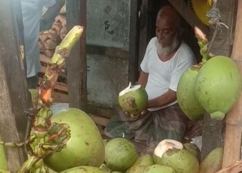 ডাব ডাবল সেঞ্চুরী !