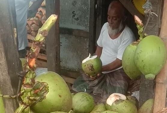 ডাব ডাবল সেঞ্চুরী !