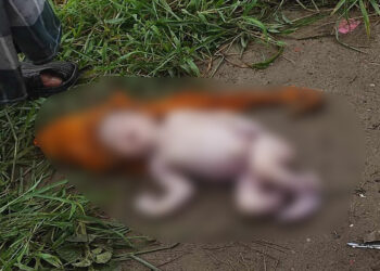 সিদ্ধিরগঞ্জে লেকের পাড়ে নবজাতকের লাশ