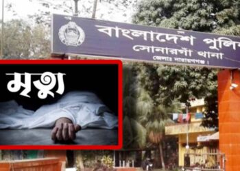সোনারগাঁয়ে স্বামীর মৃত্যু অন্ডকোষে আঘাতে, স্ত্রী আটক