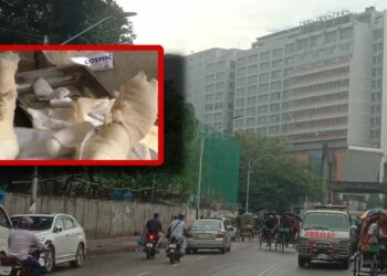 আড়াইহাজারে গ্যাস বিস্ফোরণ : বাঁচলো না কেউ