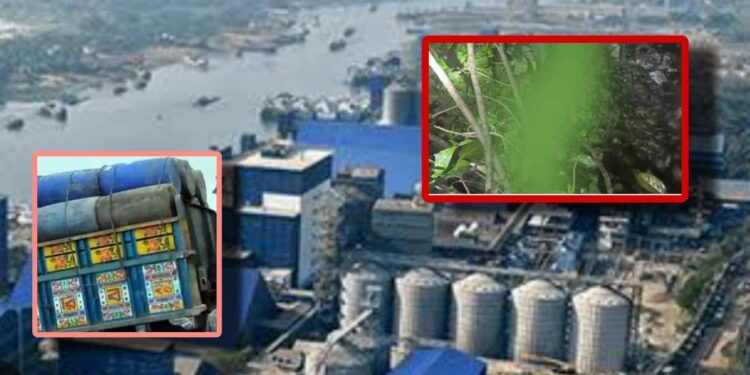 রূপগঞ্জে তেলভর্তি ট্রাক নিখোঁজ, চালকের লাশ উদ্ধার