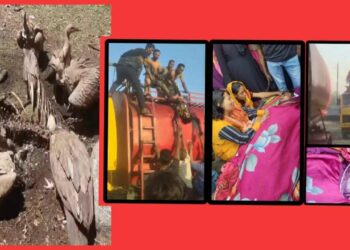 তেলচুরির কর্মকান্ডে সাঈদের মৃত্যু, শকুনের দল তৎপর