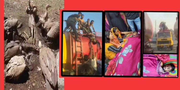 তেলচুরির কর্মকান্ডে সাঈদের মৃত্যু, শকুনের দল তৎপর