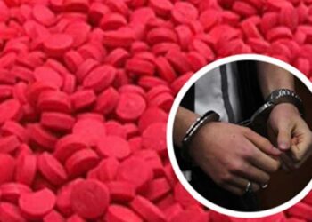 সোনারগাঁয়ের জাপা নেতার পুত্র ইয়াবা মামলায় কারাগারে