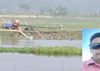 আড়াইহাজারে কাউন্সিলর বিল্লালের কান্ডে ফসলী জমি বিলিন