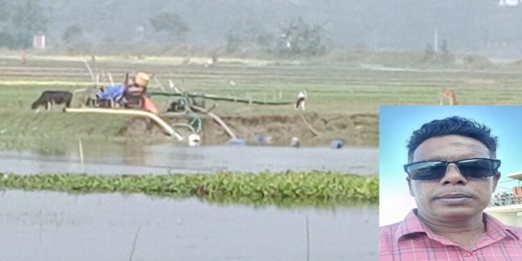 আড়াইহাজারে কাউন্সিলর বিল্লালের কান্ডে ফসলী জমি বিলিন