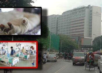 সিদ্ধিরগঞ্জের দগ্ধ রহিমার পর জান্নাতির মৃত্যু