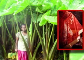 মধ্যরাতে স্বামীকে পিটিয়ে কচুক্ষেতের পাণিতে !