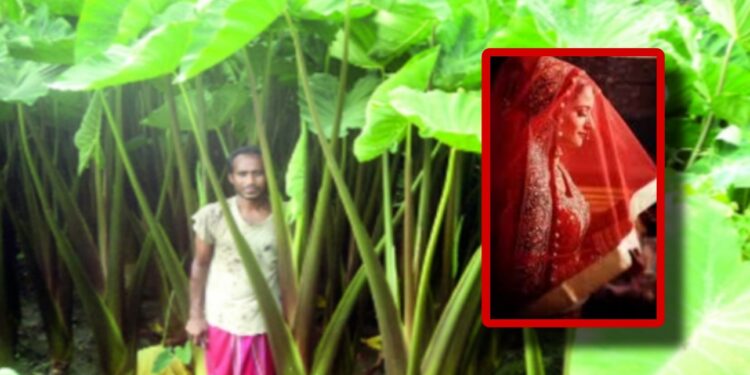 মধ্যরাতে স্বামীকে পিটিয়ে কচুক্ষেতের পাণিতে !