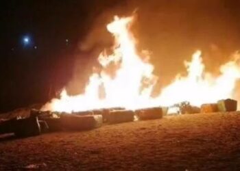 সোনারগাঁয়ে ৫৬ কোটি টাকার জাল পুড়িয়ে ধ্বংস