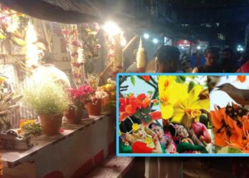 আজ পহেলা ফাগুন : প্রকৃতিতে লেগেছে আগুন