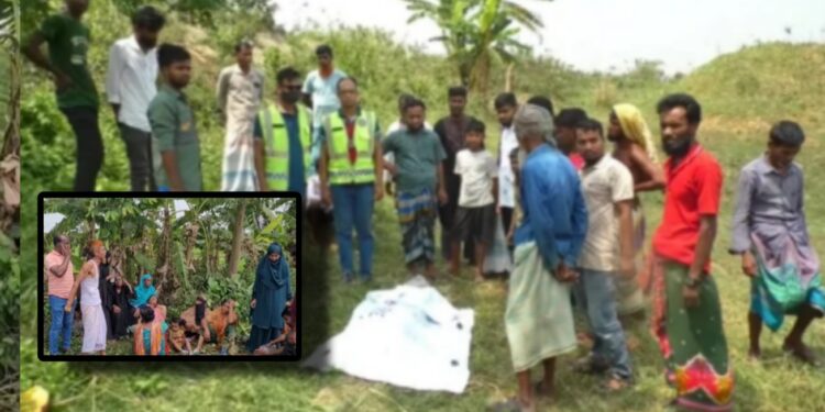 স্কচটেপ দিয়ে বেঁধে হত্যার পর রিক্সা ছিনতাই, আটক ৩
