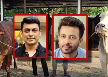 শাকিব খান ও জায়েদ খানের নামে নামকরণ কোরবানির পশুর