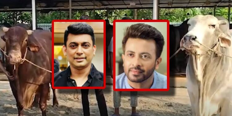 শাকিব খান ও জায়েদ খানের নামে নামকরণ কোরবানির পশুর