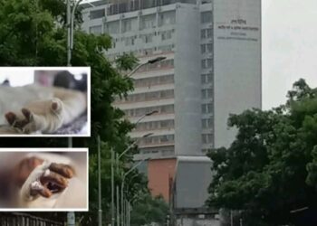 রূপগঞ্জে গ্যাস বিস্ফোরণ, স্বামী স্ত্রী দগ্ধ