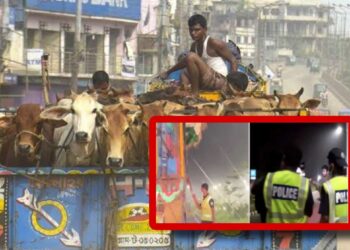 গরুর ট্রাকে চাঁদাবাজি, পুলিশের ৫ সদস্য বরখাস্ত