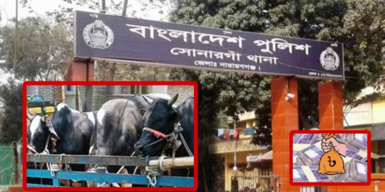 গরু বিক্রির টাকা ও গরু লুট