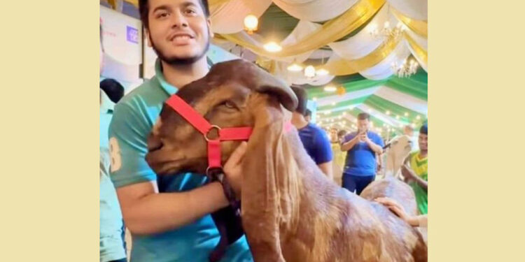 ১৫ লাখ টাকায় খাসি : ‘ইফাত আমার ছেলে নয়’