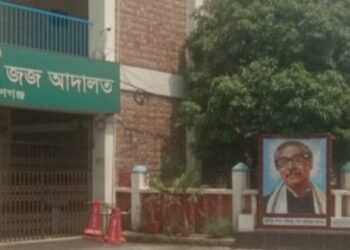 অস্ত্র মামলায় দুই যুবকের ১০ বছর করে কারাদণ্ড