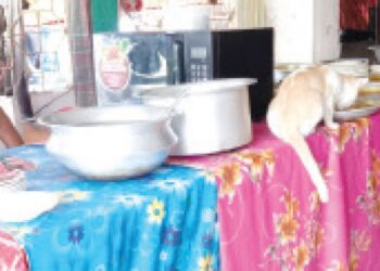 ৯৫ শতাংশই নোংরা অস্বাস্থ্যকর