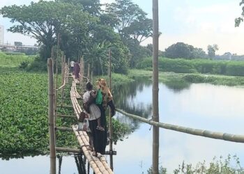 আঙ্গুল ফুলে কালাগাছ অনেকের কিন্তু দুর্ভোগে নেই কারো দৃষ্টি !